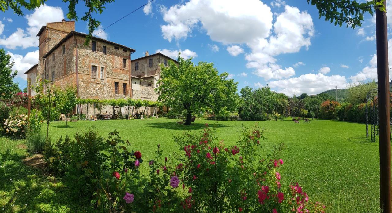 Agriturismo Abbazia Sette Frati a casa di Sara Pietrafitta  Esterno foto