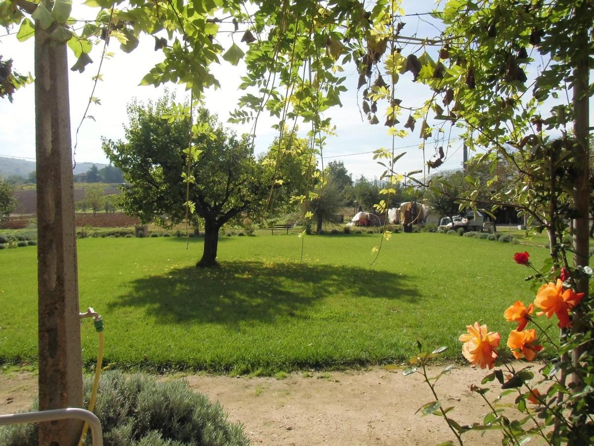 Agriturismo Abbazia Sette Frati a casa di Sara Pietrafitta  Esterno foto